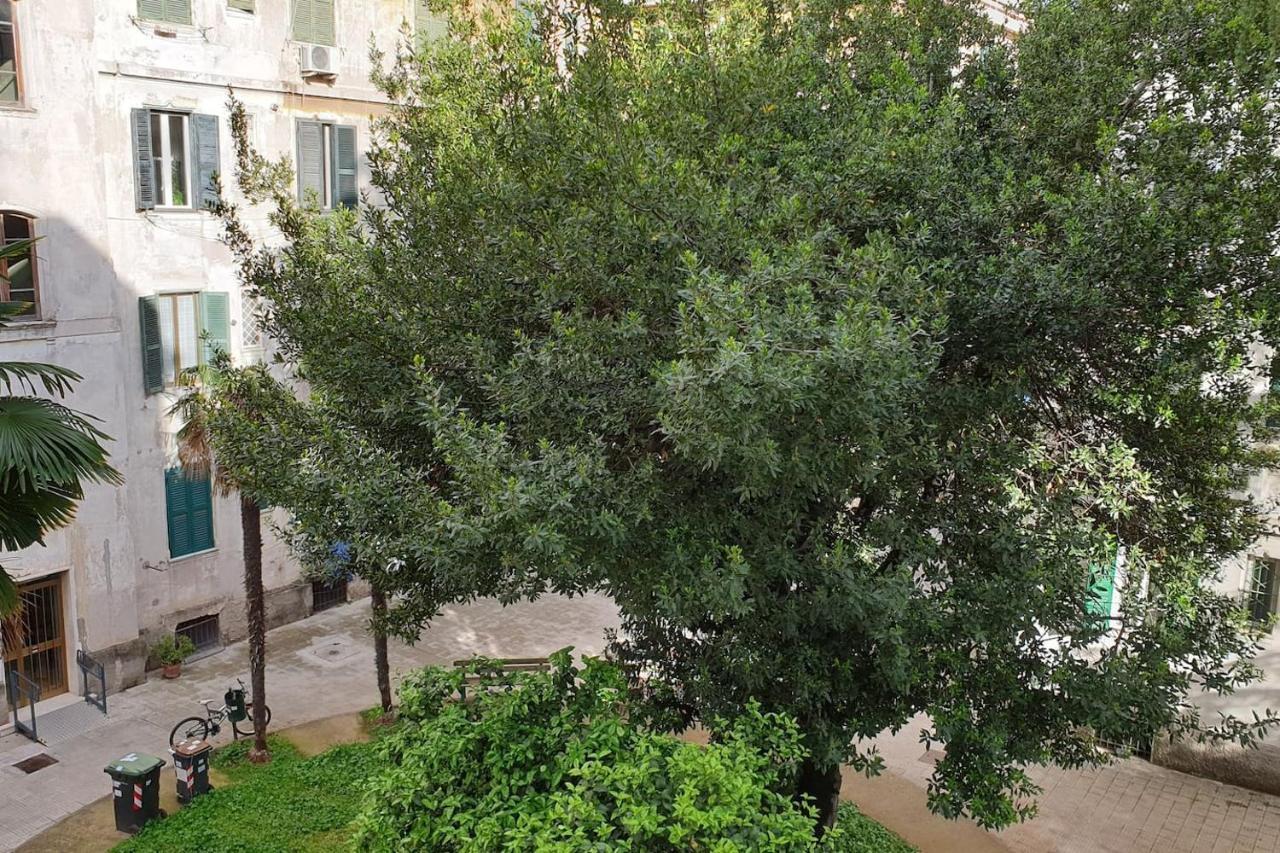 Casa Ferrari Testaccio E Trastevere Wi-Fi Free Řím Exteriér fotografie